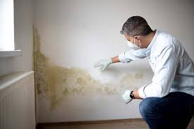 Mold Odor Removal Services in Ferrum, VA